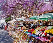 Harare - Mbare Market, a colorful collection of knick-knacks