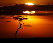 Masai Mara National Reserve