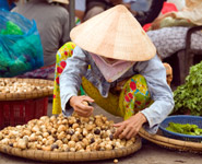 Hanoi Old Quarter